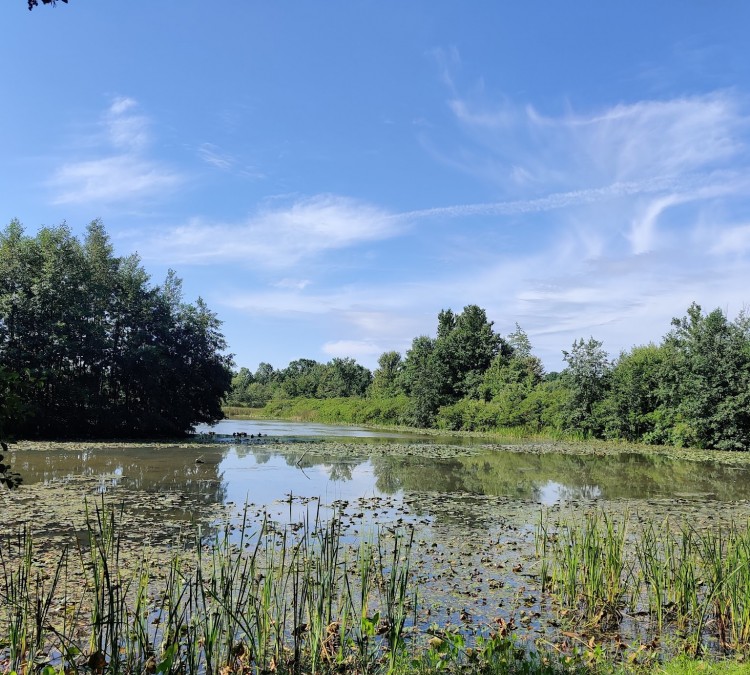 Oxbow Trail, Columbia Reservation - Lorain County Metro Parks (Columbia&nbspStation,&nbspOH)